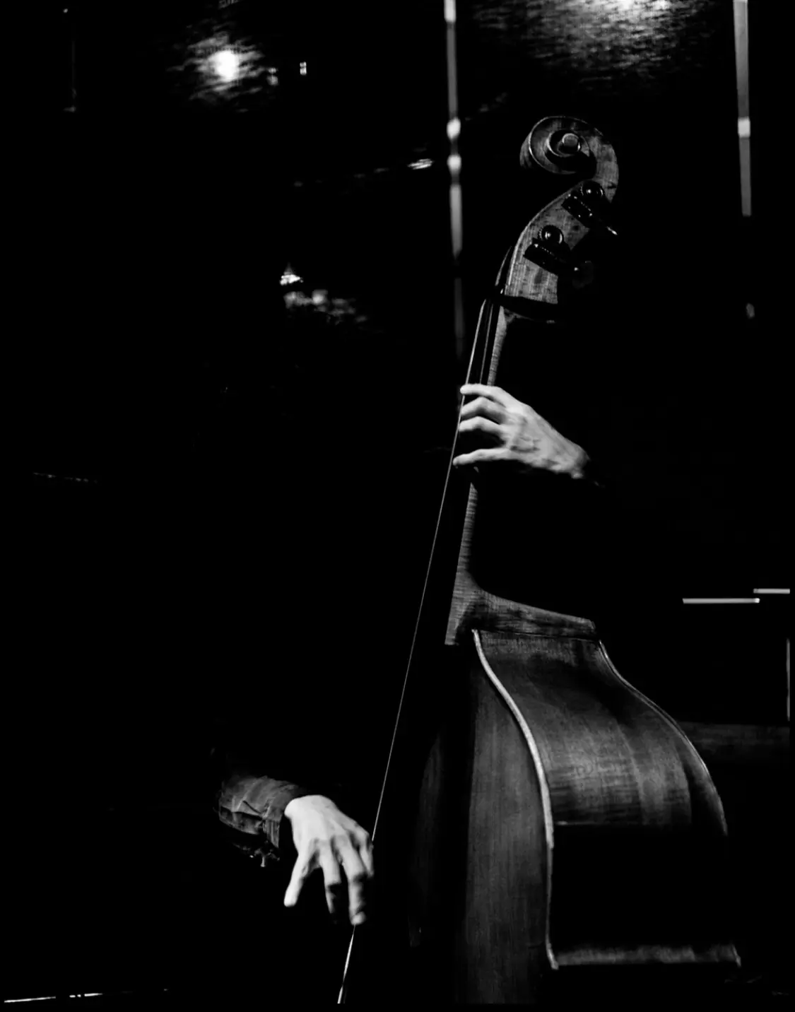 Upright bass player performing live jazz in New York City